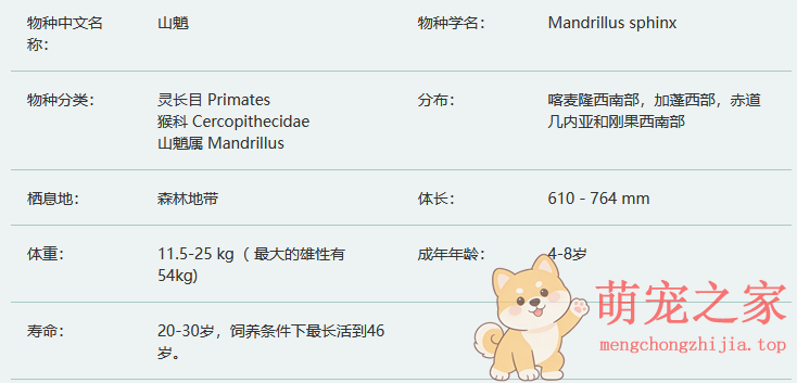 山魈简介及生活习性(图2) 山魈简介及生活习性