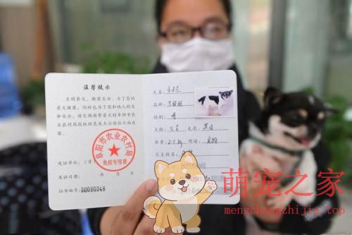 北京狗证办理流程及所需材料(图1) 北京狗证怎么办理