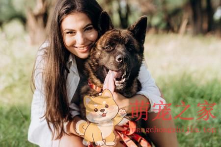为什么美女总养大狗(图1) 为什么美女总养大狗
